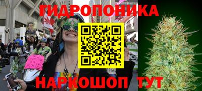 ГАЛЛЮЦИНОГЕННЫЕ ГРИБЫ Заводоуковск