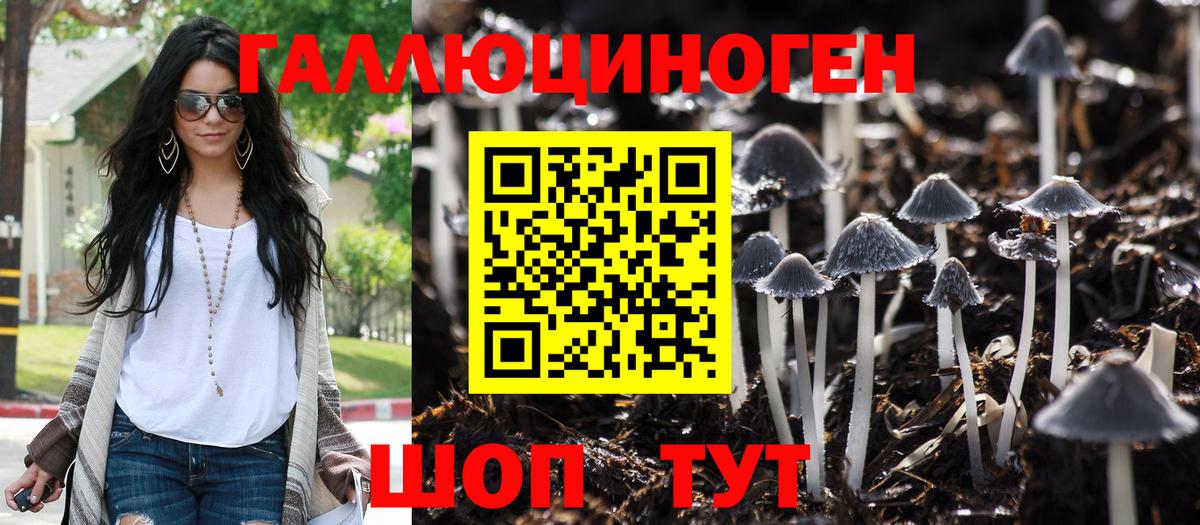 Галлюциногенные грибы ЛСД Братск
